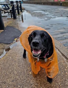 Rosie Superstar Supermodel
